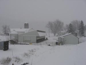 Winter Scenes 2006