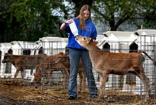 Jenna with Jersey Calf